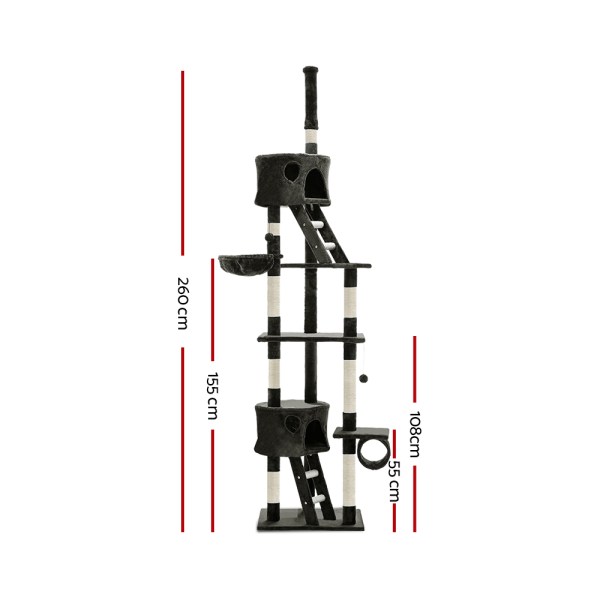 pet-cat-hsct260-gr-8319-01