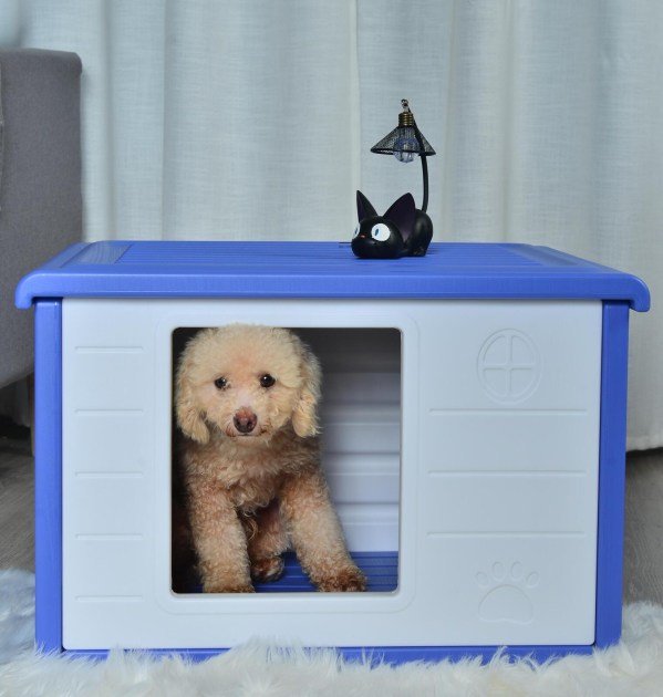 v278-at2004-blue-pet-house-69078-00