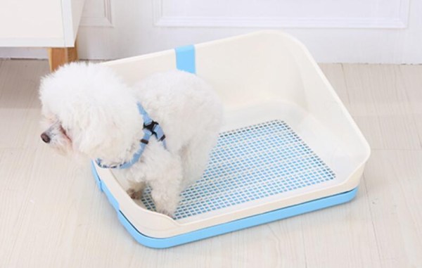 v278-bp301-pet-potty-blue-66019-00