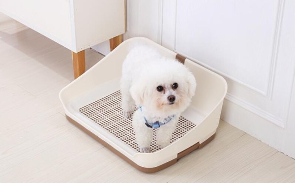 v278-bp301-pet-potty-brown-66017-01