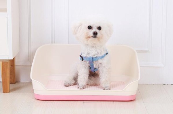 v278-bp301-pet-potty-pink-66018-01